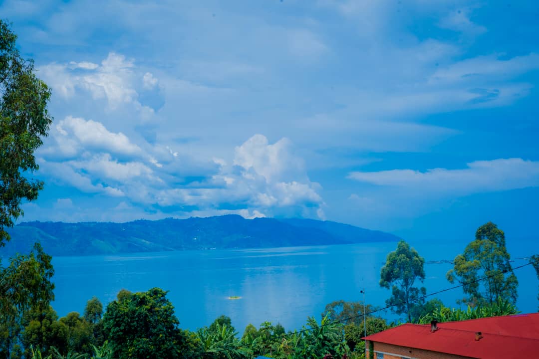 About Nature Concern